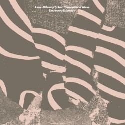 Electronic Extension