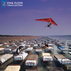 A Momentary Lapse of Reason