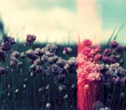 The Catastrophe Machine