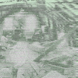 Live Like a Beaten Pig