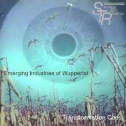 Transformation Cues