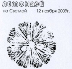 Концерт на Светлой
