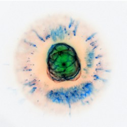 The Electronic Monolith