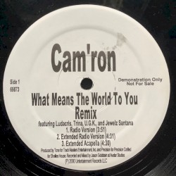 What Means the World to You (remix)