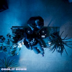 Cool It Down (extended mix)