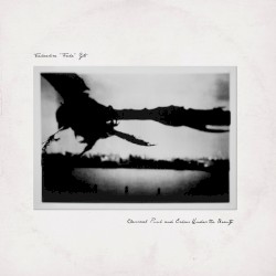 Classical Punk and Echoes Under the Beauty
