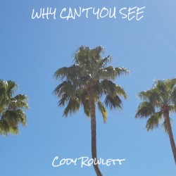 Why Can't You See