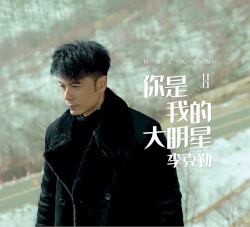 你是我的大明星