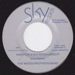 Have You Ever Been Lonely? / How'Bout Us