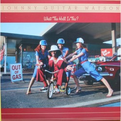 What the Hell Is This?