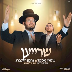שרייען