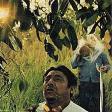 Live!! 82 Apr. 12 Studio Ahiru-Osaka