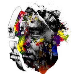 The Hökarängen Space Program