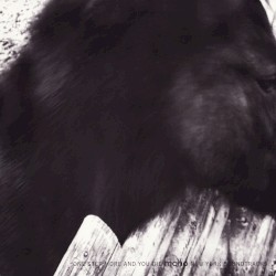 One Step More and You Die / New York Soundtracks