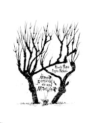 La magia raccontata da una macchina