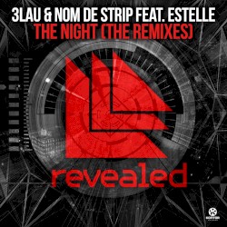 The Night (The Remixes)