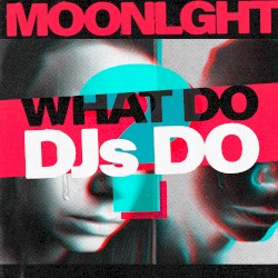 What Do Djs Do?