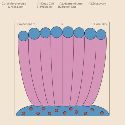 Projections of a Coral City