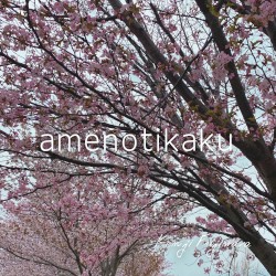 amenotikaku