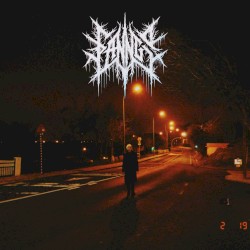 Invitation to a Beheading