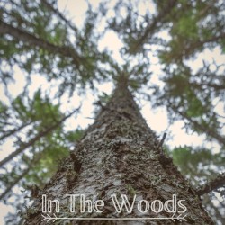 In the Woods