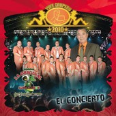 Vive grupero, el concierto