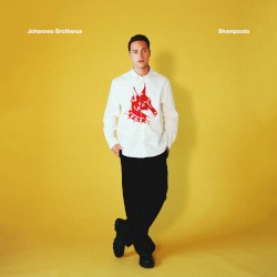 Shampoota (Vain elämää kausi 16)