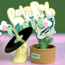 Say the Words (Shady Monk Remix)