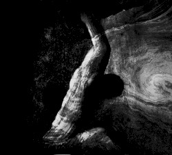 Ψυχική Αποσύνθεση