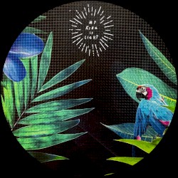 Endless Summer (Zip's Heavy 808 Edit)