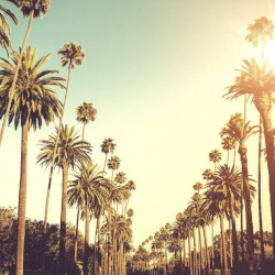 Ballad of Beverly Hills