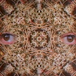 Something That Destroys You