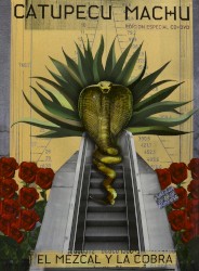 El mezcal y la cobra