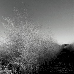 Archives (10 Years Affin)