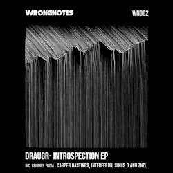 Introspection EP