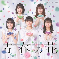 青春の花 / スタートライン