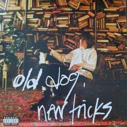 old dog, new tricks