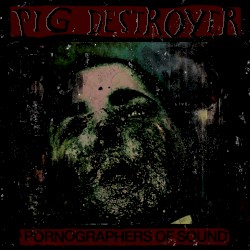 Pornographers of Sound: Live in NYC