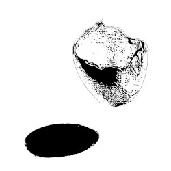 End Is Important (plus)