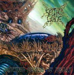 Growing Seeds of Decay