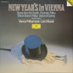 New Year's in Vienna