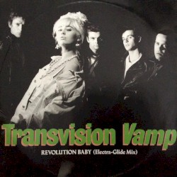 Revolution Baby (Electra-Glide Mix)