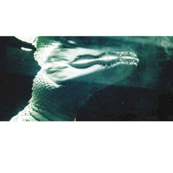 The Asking Breath Comes to Each