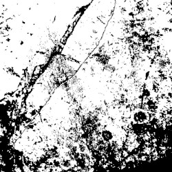 We Go On, but We Cannot for Much Longer