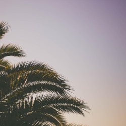 How Not to Die on a Desert Island