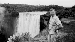 Adventures of a Young Naturalist