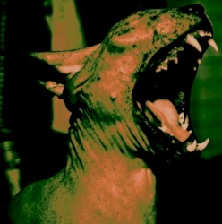 Returning the Lights