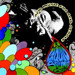 Acid Music for Acid People