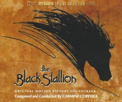 The Black Stallion
