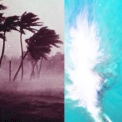 on the natural history of destruction